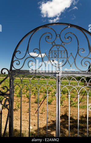 La France, l'Hérault, Saint Aunes, Château les Mazes domaine, en fer forgé avec vue sur les vignes Banque D'Images