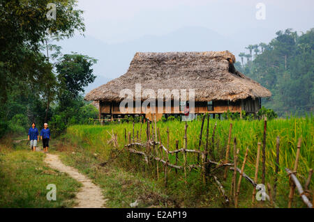 Vietnam, province de Lao Cai, près de Bac Ha, les Thaïs noirs village, champs de riz Banque D'Images