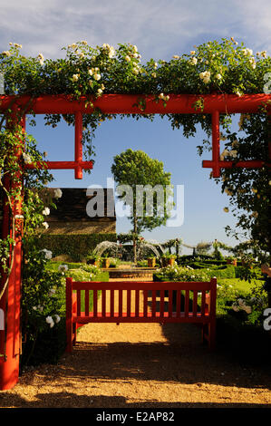 France, dordogne, Périgord Noir, Salignac Eyvigues, jardins du manoir d'Eyrignac Banque D'Images