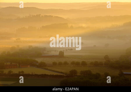 France, Dordogne, brume du matin sur la campagne (vue aérienne) Banque D'Images