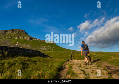 Walker sur tôt le matin ascension du Pen-y-Ghent mountain, Yorkshire Dales Banque D'Images