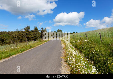 La France, la Lozère, pays paysage routier Gévaudan entre Grandrieu et Chateauneuf de Randon Banque D'Images