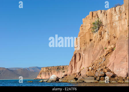 Le Mexique, l'État de Baja California Sur, Mer de Cortez, inscrite au Patrimoine Mondial de l'UNESCO, l'Isla Espiritu Santo Banque D'Images