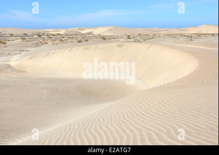 Mexique, Baja California Sur, l'État de Bahia Magdalena, Puerto Lopez Mateos environs, dunes de sable Banque D'Images