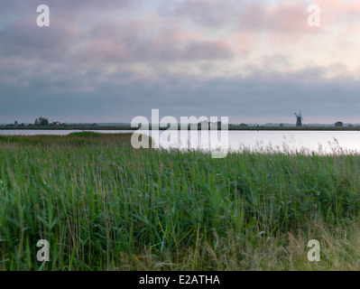 Vue sur le marais et la rivière Yare vers Berney Armoiries, Norfolk, Angleterre Banque D'Images