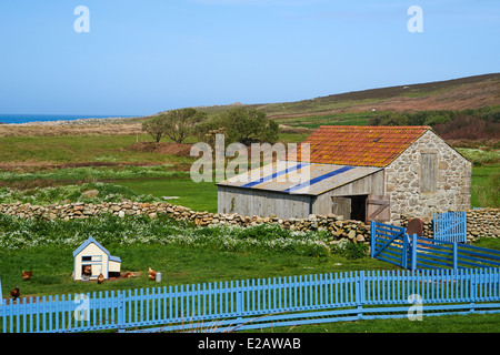 Hangars de poulet et dépendance à l'enfer Bay, Bryher, Îles Scilly, Scillies, Cornwall en Avril Banque D'Images