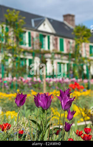 La France, l'Eure, Giverny, Claude Monet, les jardins de la Fondation de la maison de Monet, les tulipes en premier plan Banque D'Images