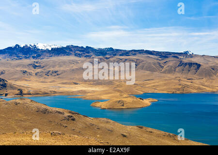 Le Pérou, Puno Province, le paysage de l'Altiplano, le lac Lagunillas (4174) Banque D'Images