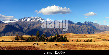 Le Pérou, Cuzco, Vallée sacrée des Incas Province, Andes paysage près de Moray Banque D'Images