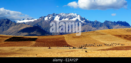 Le Pérou, Cuzco, Vallée sacrée des Incas Province, Andes paysage près de Moray Banque D'Images