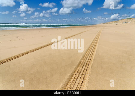 France, Gironde, Arcachon, Cap Ferret, Plage de l'Horizon, car les traces de pneus dans le sable d'une plage Banque D'Images