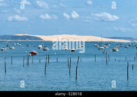 France, Gironde, Arcachon, L'herbe, les parcs à huîtres entourés de bateaux avec la Dune du Pyla en arrière-plan Banque D'Images