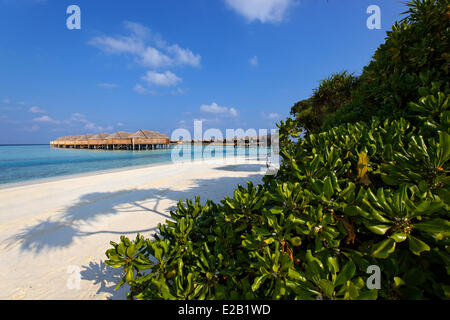 Baa Atoll, Maldives, Anantara Kihavah Villas hotel, bungalows sur pilotis Banque D'Images