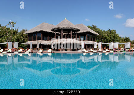 Les Maldives, Kaafu atoll de Malé Nord, l'hôtel Coco Palm Boduhithi, piscine principale Banque D'Images