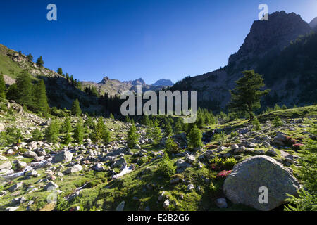 France, Alpes Maritimes, parc national du Mercantour, Haute Vesubie, vallée de la madone de Fenestre Banque D'Images