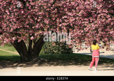 France, Paris, des femmes devant un arbre en fleurs au Jardin des Plantes (Jardin Botanique) au printemps Banque D'Images