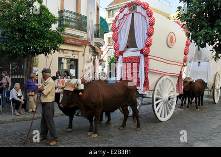 Espagne, Andalousie, Séville, Triana, le départ de la Fraternité Hacia Rocio pèlerinage à El Rocio, Espagne, le plus grand et Banque D'Images