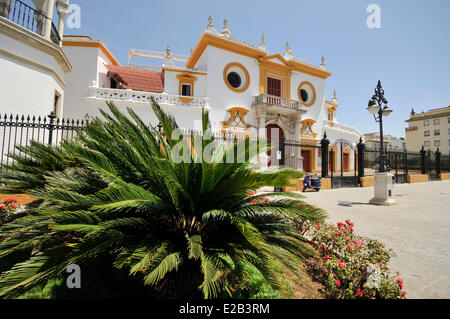 Espagne, Andalousie, Séville, la Plaza de toros de La Maestranza, sévillan baroque du xviiie siècle Banque D'Images