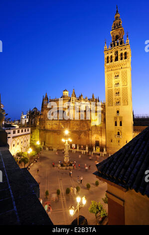 Espagne, Andalousie, Plaza Virgen de los Reyes au crépuscule, la Giralda, un ancien minaret almohade de la Grande Mosquée convertie en un Banque D'Images