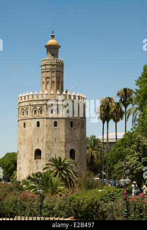 Espagne, Andalousie, Séville, Torre del Oro, Golden Tower, ancienne tour d'observation militaire construite au début du xiiie siècle Banque D'Images