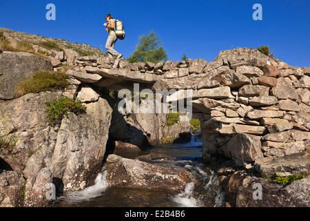 La France, l'Ariège, Parc Naturel Régional des Pyrénées ariegeoises, Auzat Vicdessos Vallée, randonnées à l'Étangs de Bassies sur le GR10 Banque D'Images