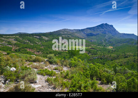 France, Bouches du Rhône, Montagne Sainte Victoire Banque D'Images