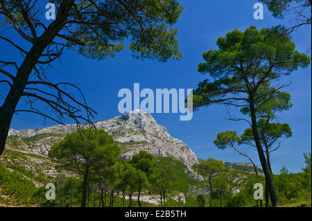 France, Bouches du Rhône, Montagne Sainte Victoire Banque D'Images