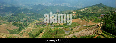 Chine, Province du Guangxi, Longsheng Longji terrasses à riz, Banque D'Images