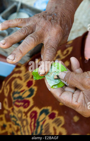 L'INDONÉSIE, Bali, Tabanan, Tunjuk Taman Sari Buwana village traditionnel, la préparation d'après la mastication d'arec et des feuilles de bétel Banque D'Images