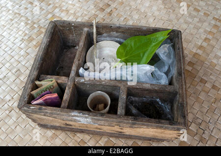 L'INDONÉSIE, Bali, Tabanan, Tunjuk Taman Sari Buwana village traditionnel, la préparation d'après la mastication d'arec et des feuilles de bétel Banque D'Images