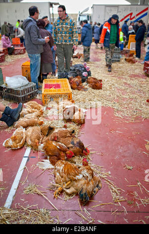 France, Gers, Samatan, marché aux volailles Banque D'Images