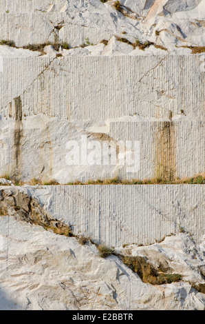 Boutures dans mur de mine de marbre à Mijas , le sud de l'Espagne. Banque D'Images