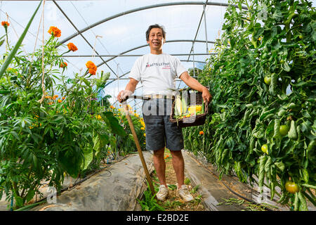 France, Yvelines, Chapet, Asafumi Yamashita, jardiniers, qui offre haut de gamme de légumes aux chefs Banque D'Images