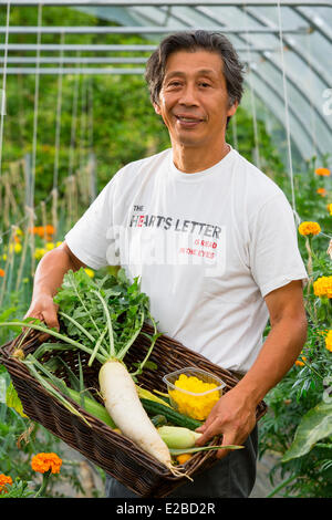 France, Yvelines, Chapet, Asafumi Yamashita, jardiniers, qui offre haut de gamme de légumes aux chefs Banque D'Images