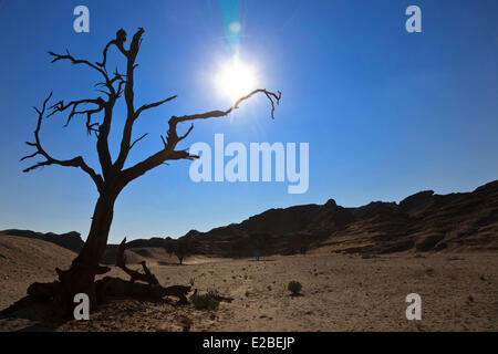 La Namibie, Erongo et régions Hardap, la vallée de la rivière Kuiseb, Parc National Namib Naukluft, Désert du Namib, environs de Accueilb, Banque D'Images