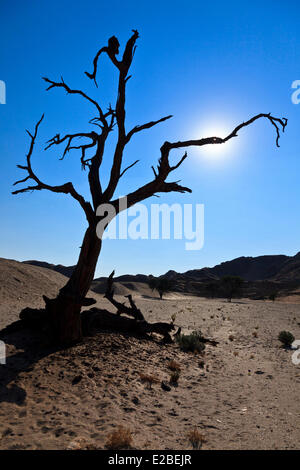 La Namibie, Erongo et régions Hardap, la vallée de la rivière Kuiseb, Parc National Namib Naukluft, Désert du Namib, environs de Accueilb, Banque D'Images