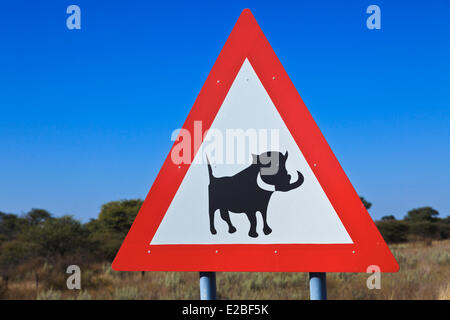 La Namibie, région de Kunene Kaokoland, ou des environs, Kaokoveld Opuwo, signalisation routière : Danger phacochère, cochon sauvage Banque D'Images