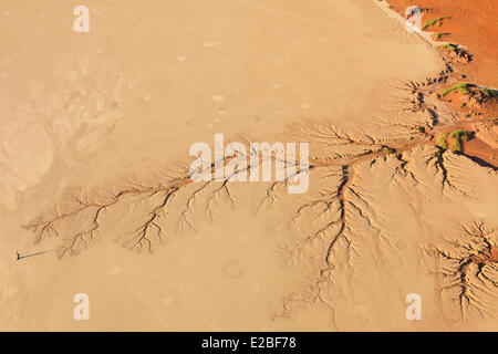 La Namibie, région Hardap, Parc National Namib Naukluft, Désert du Namib, près de Sossusvlei dunes de sable, Deadvlei, pan ou d'argile étang et arbres morts (vue aérienne) Banque D'Images