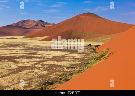 La Namibie, région Hardap, Parc National Namib Naukluft, Désert du Namib dunes de Sossusvlei,,