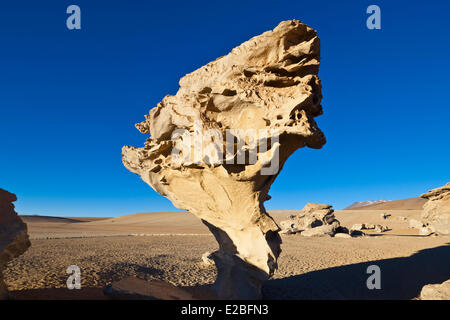 La Bolivie, Potosi, Ministère Sur Lipez Province, Eduardo Avaroa, Réserve nationale de faune andine désert de Siloli, arbre de pierre (Arbol de Piedra) Banque D'Images