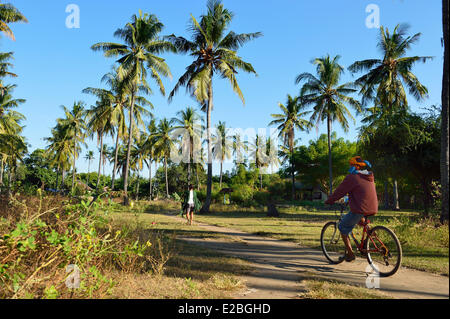 L'Indonésie, Lombok, Gili archipel, Gili Air, à l'intérieur de l'île sous les cocotiers Banque D'Images