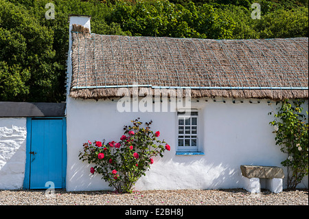 Thatched cottage irlandais, Clonmany, comté de Donegal, Irlande Banque D'Images