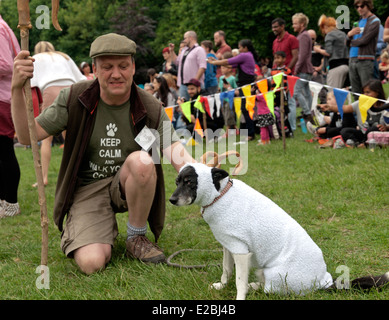 Une exposition canine dans le Queens Park, Brighton Banque D'Images