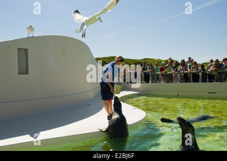 Dans joint Ecomare. L'île de Texel. La province de la frise. Fryslan. Aux Pays-Bas. La Hollande. Frisia, Holanda. Banque D'Images