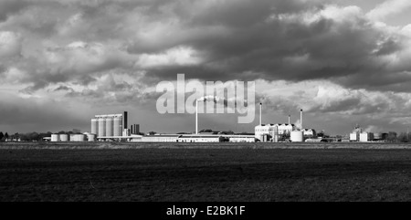 Une vue de l'usine de betterave à sucre Cantley , Norfolk, Angleterre Banque D'Images