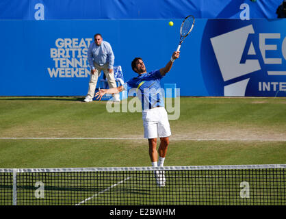 Eastbourne, Royaume-Uni. 18 Juin, 2014. Eastbourne International Aegon Feliciano Lopez (ESP) bat Tobias Kamke (GER) par un score de 7-6, 7-5 dans leur 2ème tour match à Devonshire Park. Credit : Action Plus Sport/Alamy Live News Banque D'Images