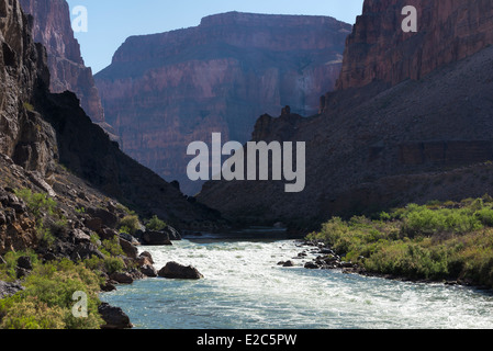 Chutes de lave, l'un des plus grands rapides sur le fleuve Colorado dans le Grand Canyon, Arizona. Banque D'Images