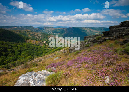 La France, la Lozère, Causses et Cévennes, Méditerranée agropastoraux paysage culturel, l'UNESCO, la corniche des Cévennes Banque D'Images