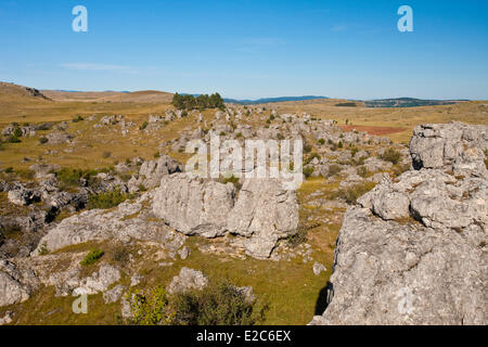 La France, la Lozère, les Causses et les Cévennes, paysage culturel agropastoraux méditerranéens, inscrite au Patrimoine Mondial de l'UNESCO, le Parc National des Cévennes (Parc National des Cévennes), classé réserve de biosphère par l'UNESCO, Causse Méjean, le chaos de Nîmes le Vieux dolomitique Banque D'Images