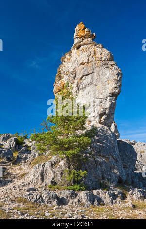 La France, la Lozère, les Causses et les Cévennes, paysage culturel agropastoraux méditerranéens, inscrite au Patrimoine Mondial de l'UNESCO, le Parc National des Cévennes (Parc National des Cévennes), classé réserve de biosphère par l'UNESCO, Causse Méjean, le chaos de Nîmes le Vieux dolomitique Banque D'Images